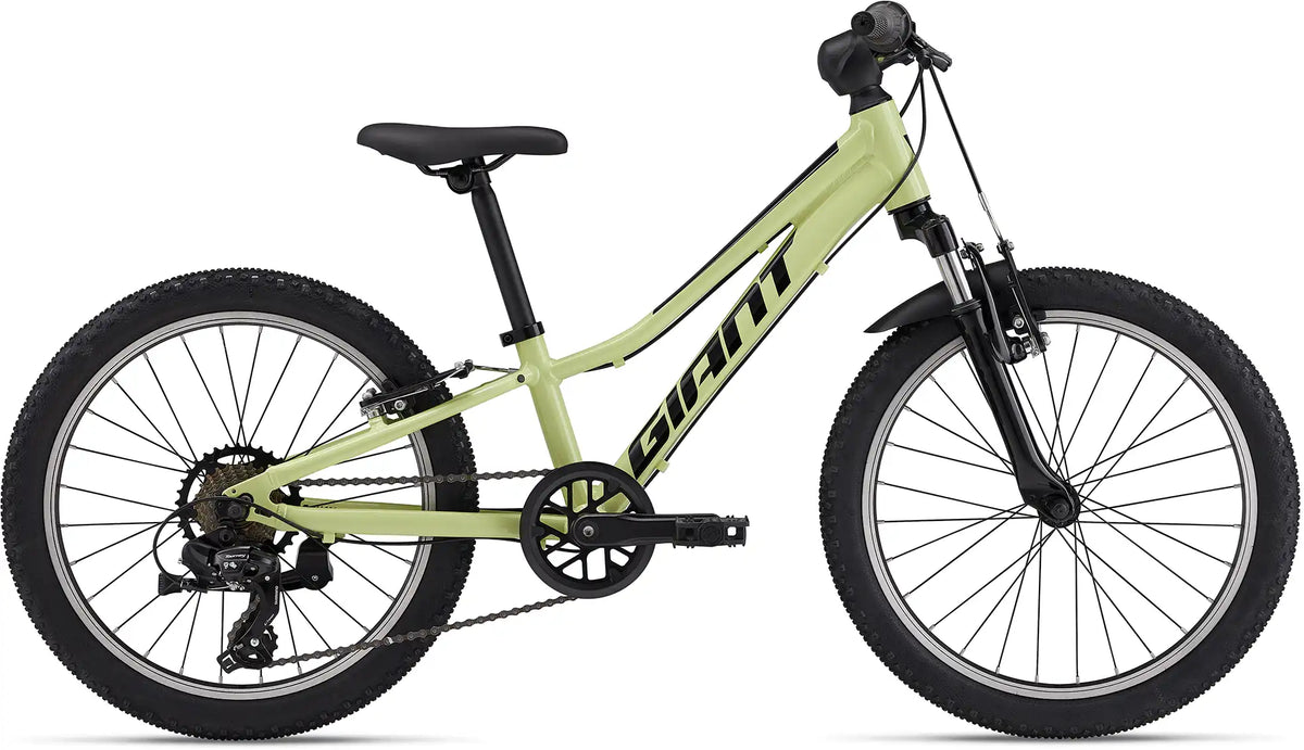 2024 Giant Talon 20 Boys Kids Bike ABC Bikes   MY24Talon20 ColorAMuscatBlanc 1200x691.webp