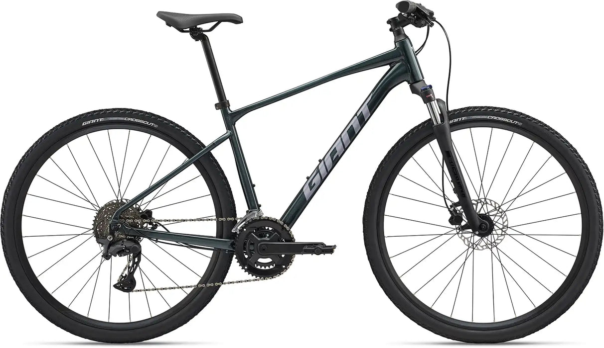 2025 Giant Roam 2